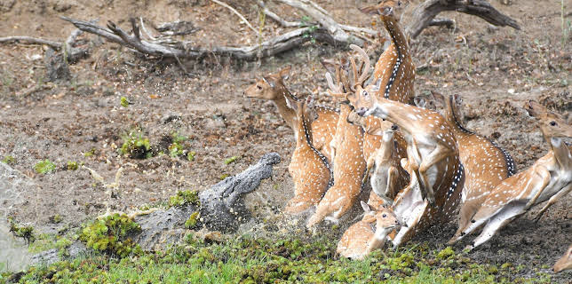 01:50: Unsere Erde III | 3SAT | 2/5 2026