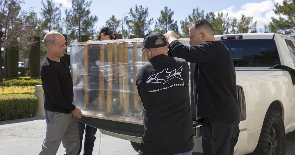 2/8 21:00 | Tanked på Animal Planet