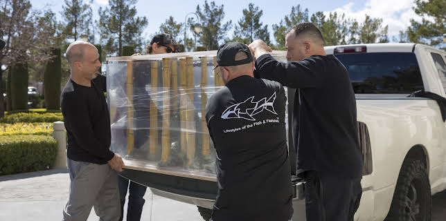 09:25: Akvariedesignerne (S8 E3) (S8) | Animal Planet | 11/28 2025