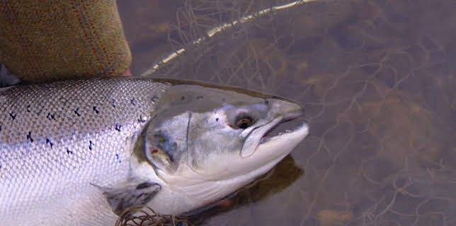 7:00 PM: Turas a Bhradain (S1) | BBC Alba | 10/30 2025