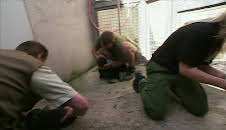 Giraffe, Erdmännchen & Co.