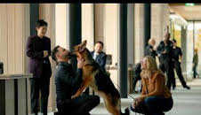 Hudson y Rex (T5): Ep.13 La ley Miranda