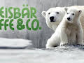 Eisbär, Affe & Co. (190)