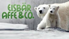 Eisbär, Affe & Co.