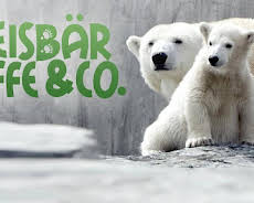 Eisbär, Affe & Co.