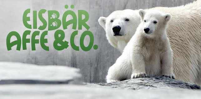 11:15: Eisbär, Affe & Co. (190) | RBB Fernsehen | 11/3 2025