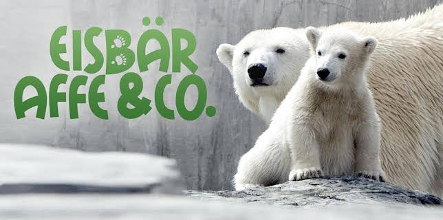 Eisbär, Affe & Co.