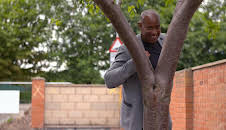 Homes Under the Hammer