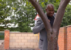 Homes Under the Hammer