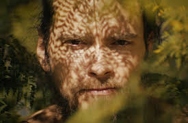 Wild Boys: Strangers in Town: Out of the Woods