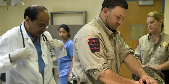 03:00: Animal Cops Philadelphia (S12 E4) (S12) | Animal Planet | 3/3 2026