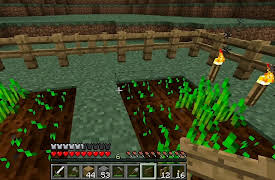 Paul Soares Jr. Minecraft Tutorials: Survive & Thrive: Fences and Gates