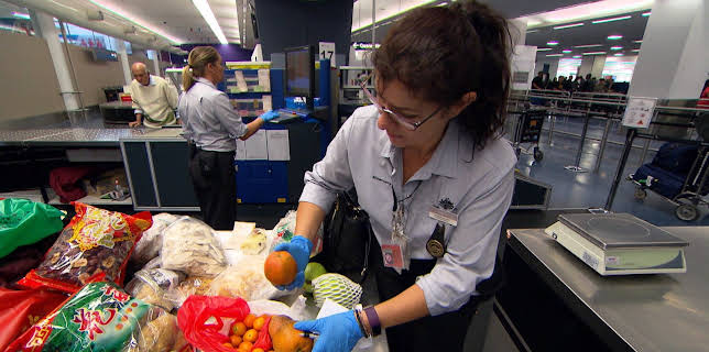 08:35: Grensevakten (S12 E13) (S12) | MAX | 1/20 2026