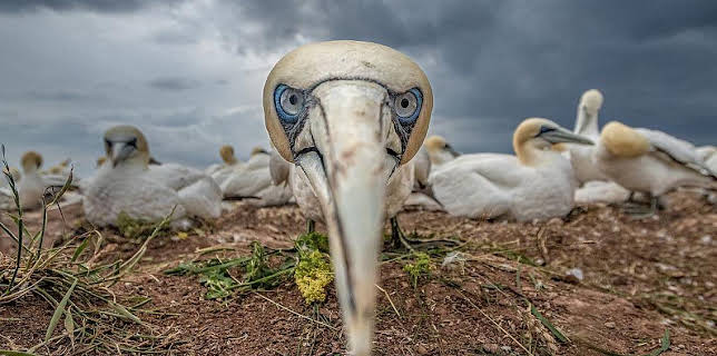 16:20: Grandes Documentales Mares En Movimiento | LA 2 | 3/10 2026