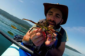 Brave Wilderness: Sea Critters