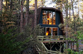 The Cabin Chronicles: Big Bear Treehouse