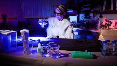 05:00: Medical Detectives - Geheimnisse der Gerichtsmedizin | VOX | 4/29 2026