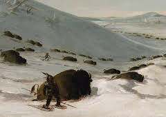 The Great American Buffalo