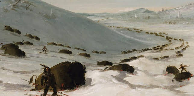 11:15 PM: The Great American Buffalo (S1 E2) (S1) | BBC Four | 2/3 2026