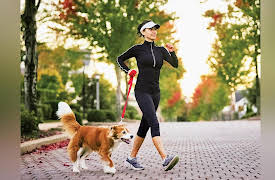 Biochemistry and Molecular Biology: How Life Works: How Animals Make Carbs and Fats