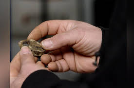 Fishing For History: The Battle For Stones River
