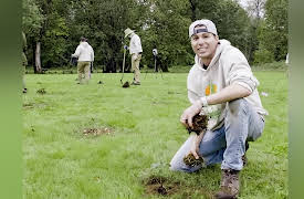 #TeamTrees Special: 20 Million Trees by 2020