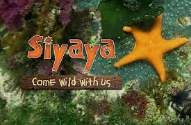 Siyaya – Come Wild With Us: Under the Sea