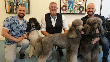 11:00 AM: Dogs Behaving (Very) Badly (S8 E5) (S8) | 5 Star | 7/12 2026