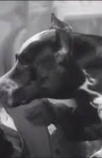 Etienne Girardot as 