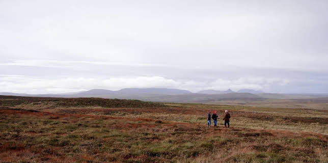 09:15: En plats på landet (S31 E8) (S31) | TV8 | 1/14 2026