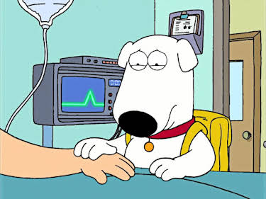 19:45: Family Guy | ProSieben Maxx | 8/21 2026