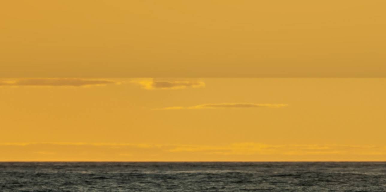 Sea Change: The Gulf of Maine, A NOVA Special Presentation