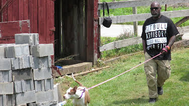 06:50: Pit Bulls & Parolees (S7 E5) (S7) | Animal Planet | 4/11 2026