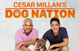 Cesar Milan's Dog Nation Season 1: Borderline K9s
