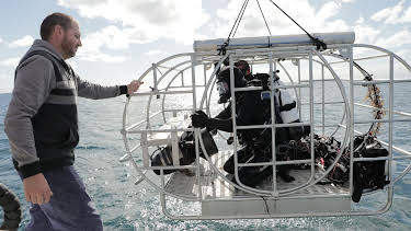 03:45: Sharks Of The Badlands | Animal Planet | 4/9 2026