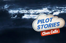 Pilot Stories: Close Calls: Incredible Bird Strike