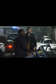 20:04: Hudson y Rex (T4): Ep.9 El síndrome del perro impostor | AXN | 3/27 2026