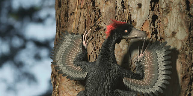 05:25: Verborgene Welten | ZDFinfo | 11/12 2025