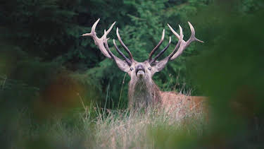 19:15: Am Fuße der Berge | SR Fernsehen | 3/29 2026