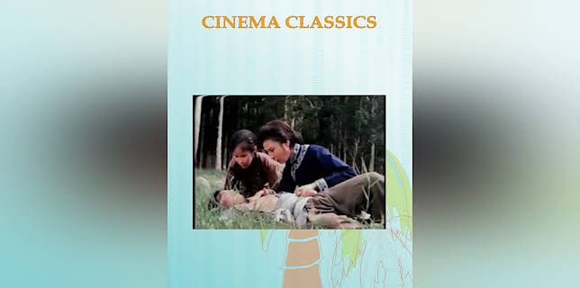 Kung Fu Punch of Death (2007)