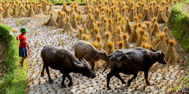 20:15: Länder - Menschen - Abenteuer | ARD Alpha | 11/28 2025