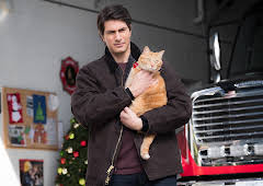 The Nine Kittens of Christmas