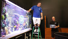 Akvariedesignerne (S8 E12)