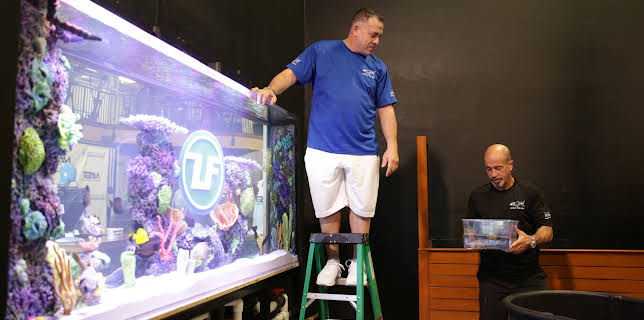 09:25: Akvariedesignerne (S8 E12) (S8) | Animal Planet | 12/12 2025