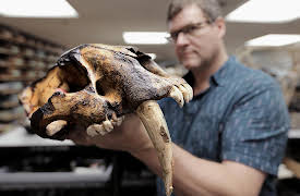 Making North America: Human