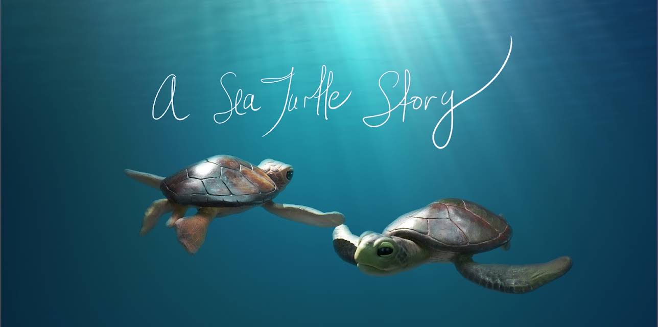 A Sea Turtle Story