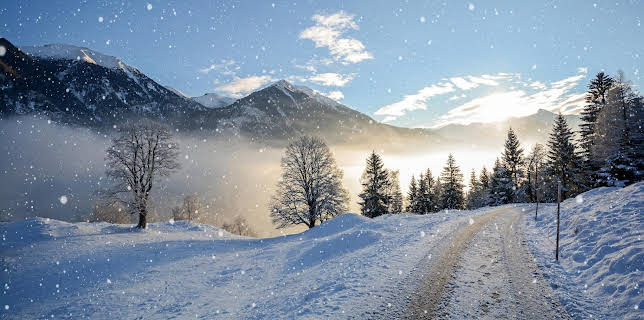 11:00: Winter im Pongau | ARD Alpha | 1/19 2026