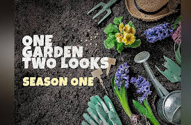 One Garden Two Looks: Episode 6