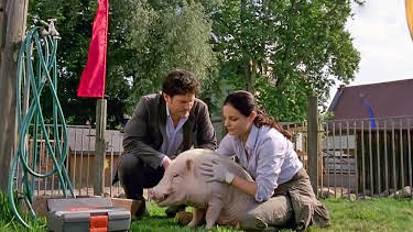 14:45: Tierärztin Dr. Mertens (S04/E10) | One | 6/15 2026