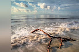 Wild Photo Adventures: Coastal Landscapes